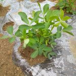 Thumbnail of post image 076